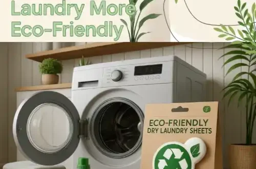 Eco-Friendly Laundry