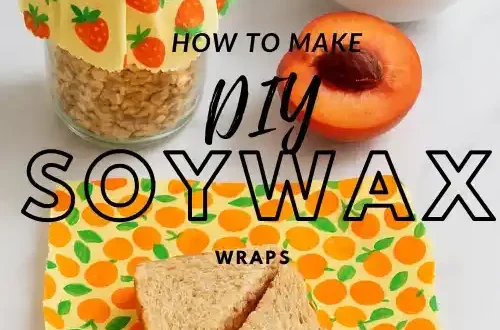 DIY Reusable Food Wraps