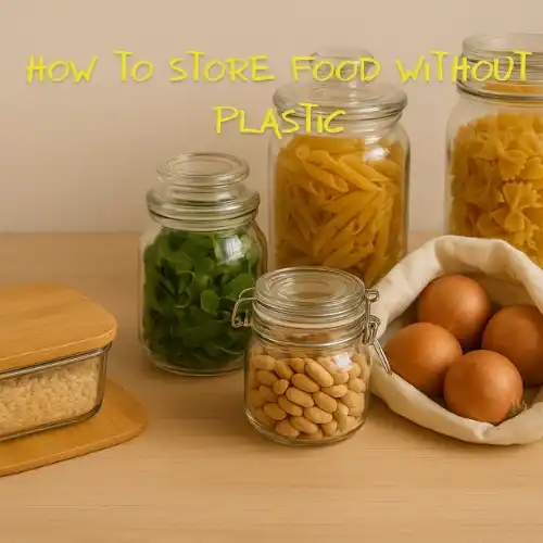 Store Food Without Plastic